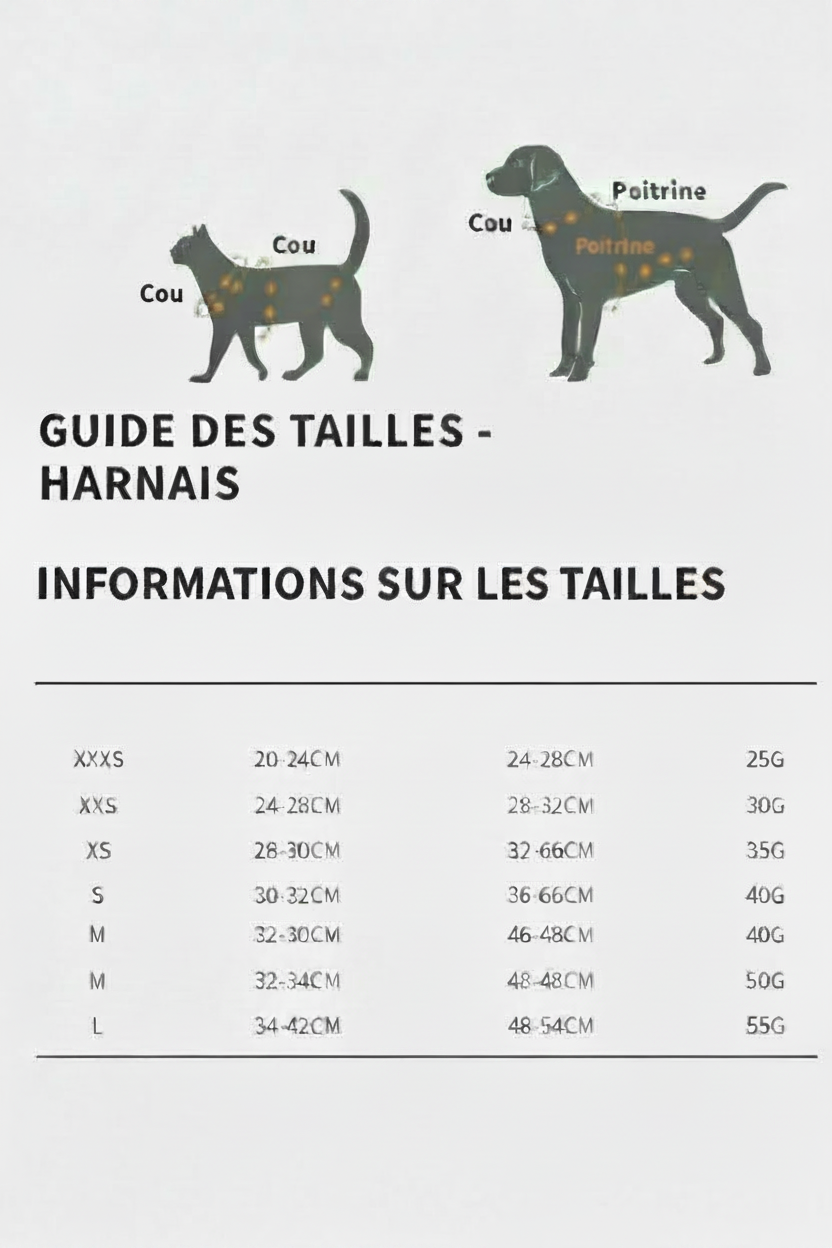 Harnais confort et sécurité pour chien