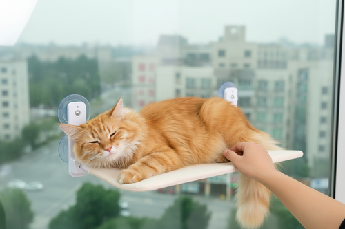 Hamac fenêtre à ventouses pour chat , confortable et doux