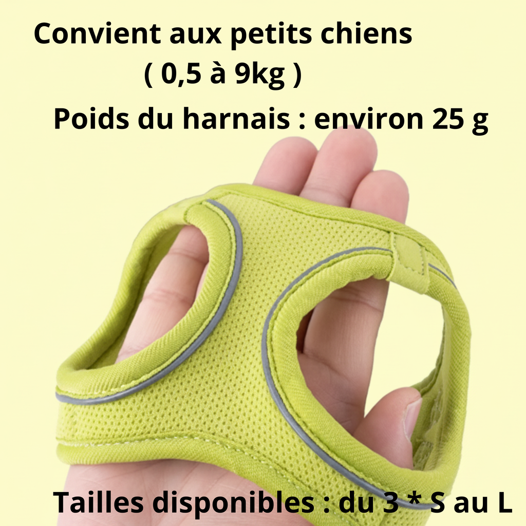 Harnais confort et sécurité pour chien