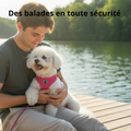 Harnais confort et sécurité pour chien