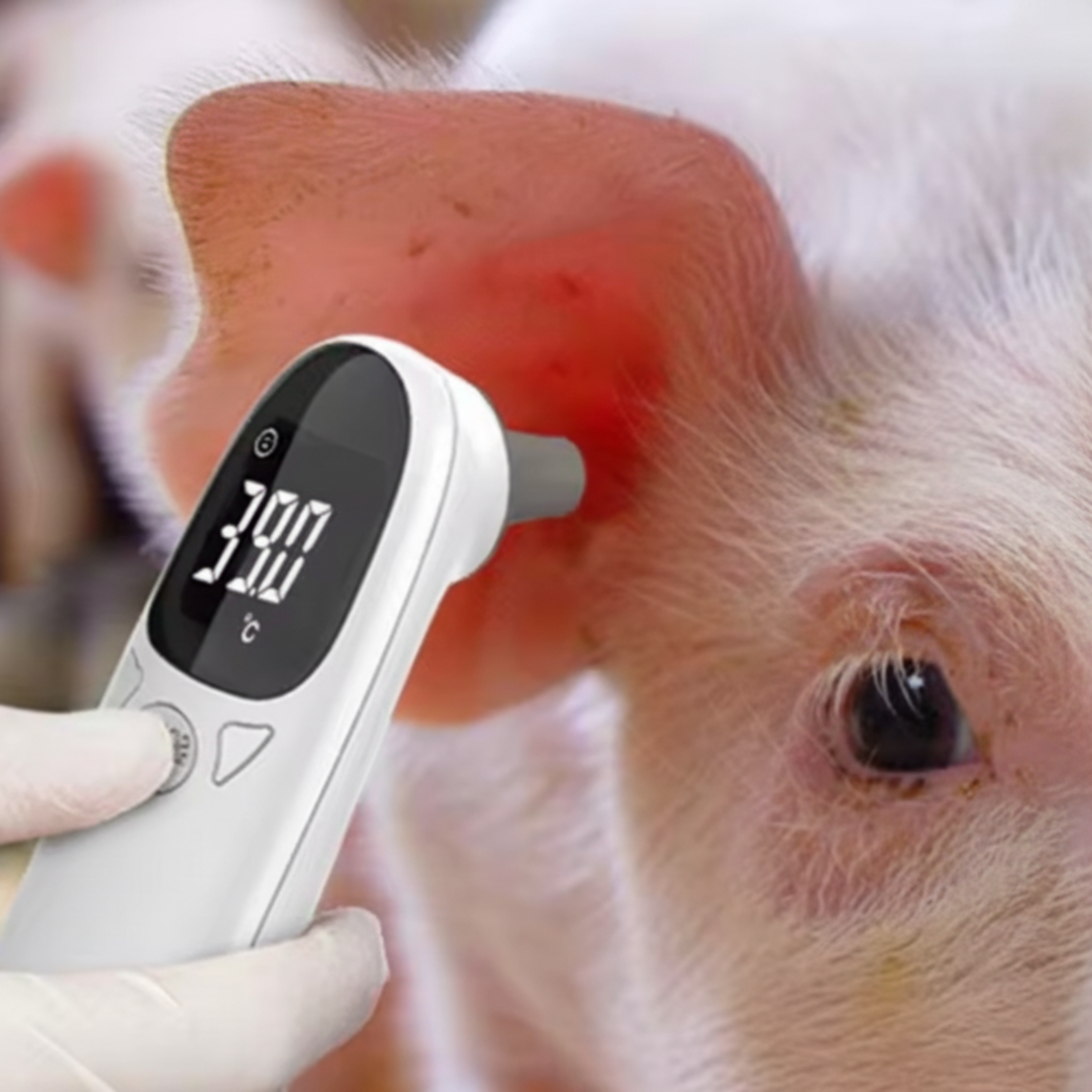 Le Thermomètre Sans Contact Ultra-Rapide pour Chiens et Chats