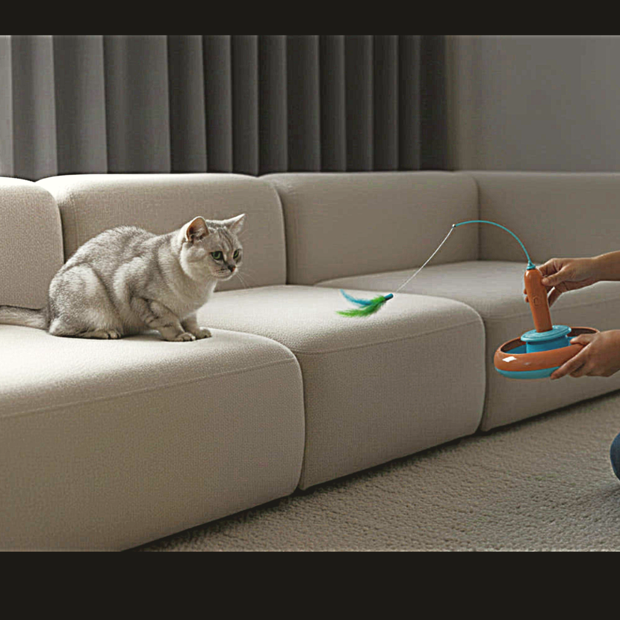 Un jouet qui stimule et occupe votre chat